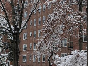 36 Cathedral Avenue 2C, Hempstead NY 11550