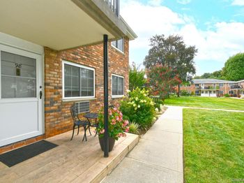 98 Jervis Avenue