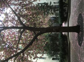 21-28 35th 2A, Astoria NY 11105