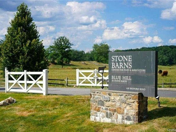 11 Spruce Street, Sleepy Hollow NY 10591