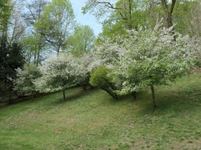 77 Central Drive, Briarcliff Manor NY 10510