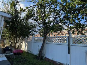 1817 Schieffelin Avenue, Bronx NY 10466