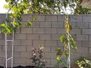 7327 N Loma Verde, Canoga Park (los Angeles) CA 91303