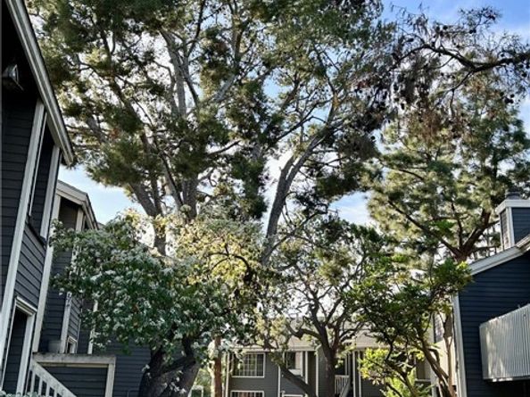 25603 Pine Creek Lane, Wilmington (los Angeles) CA 90744