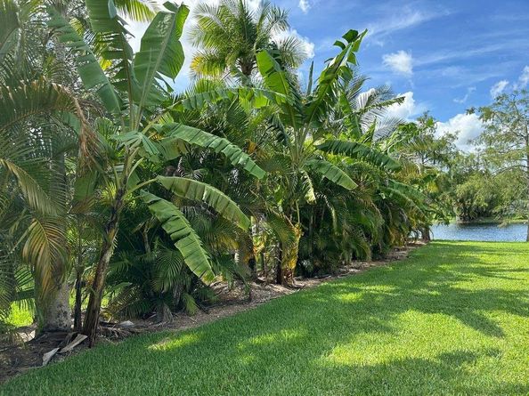 18901 SW 63rd St, Southwest Ranches FL 33332