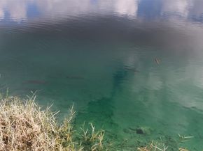 18901 SW 63rd St, Southwest Ranches FL 33332