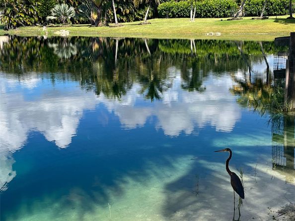 18901 SW 63rd St, Southwest Ranches FL 33332