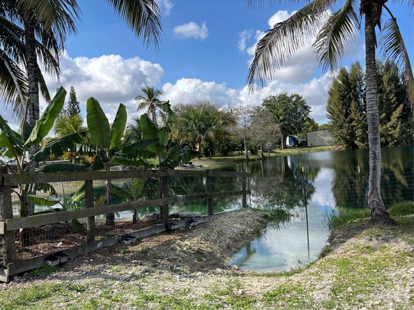 18901 SW 63rd St, Southwest Ranches FL 33332