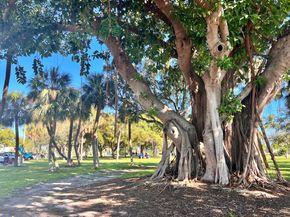 101 S Golfview Road 1, Lake Worth Beach FL 33460