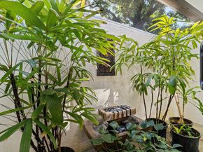 11373 Twelve Oaks Way E, North Palm Beach FL 33408