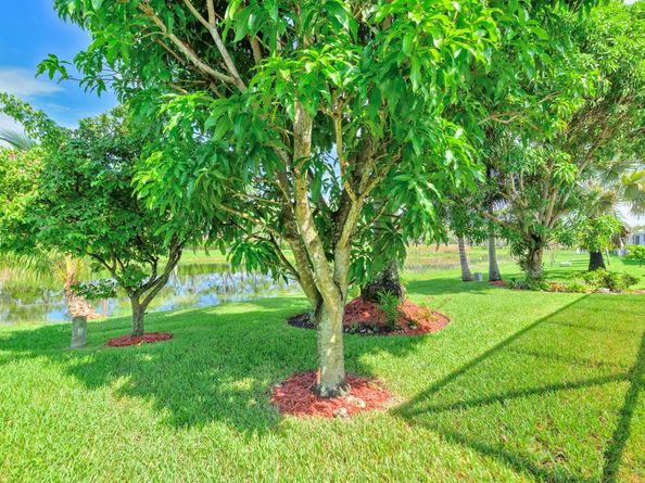 4032 Pinewood Ln, Weston FL 33331
