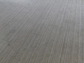 2330 Nicholson Street SE, Washington DC 20020