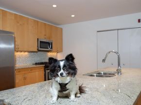 1352 South Street 213, Philadelphia PA 19147