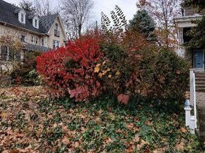 1122 N 63rd Street, Philadelphia PA 19151