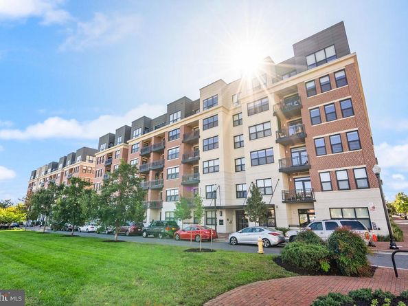 701 Swann Avenue 103, Alexandria VA 22301