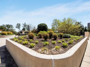 205 Yoakum Parkway 1502, Alexandria VA 22304