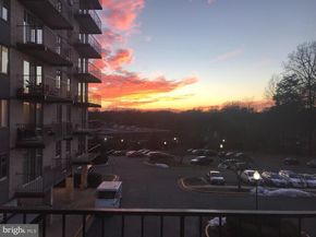 3245 Rio Drive 305, Falls Church VA 22041
