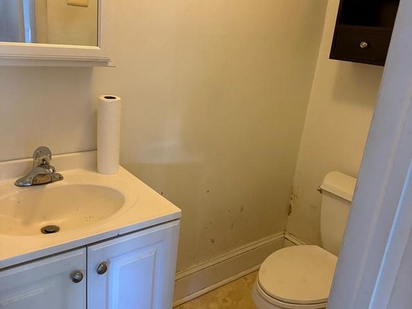 256 Willow Avenue, Wayne PA 19087