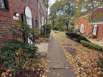 3492 Martha Custis Drive