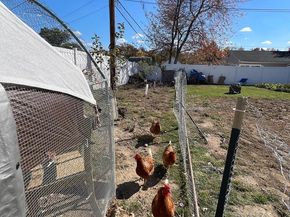 22 Myrtle Lane, Levittown PA 19054