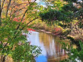 1268 Dogwood Drive, Jamison PA 18929