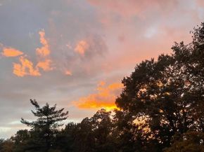 2118 S Quincy Street, Arlington VA 22204