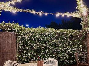 309 Elm Street NW, Washington DC 20001