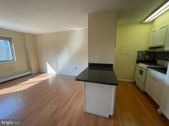 2101 Chestnut Street 1413, Philadelphia PA 19103