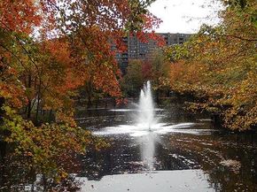 8370 Greensboro Drive 203, Mclean VA 22102