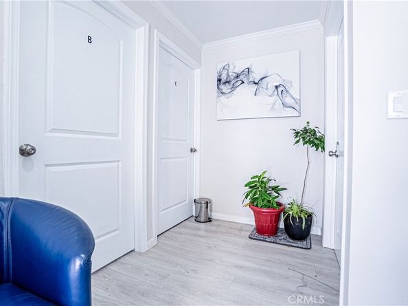 1035 S Catalina Street, Los Angeles CA 90006