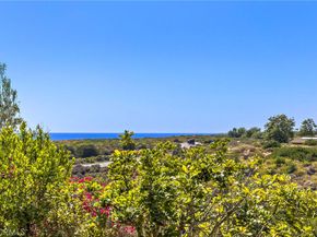 28 Sandy Cv, Newport Coast CA 92657
