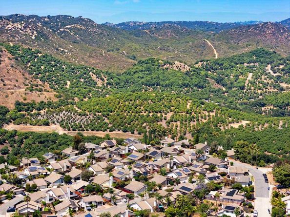 1973 Buckskin, Escondido CA 92027