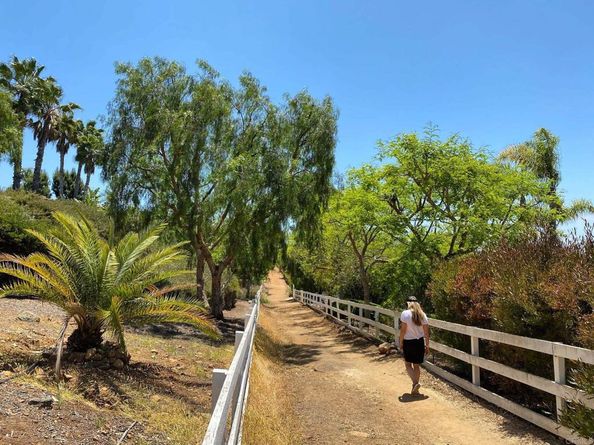 3226 Violet, Encinitas CA 92024