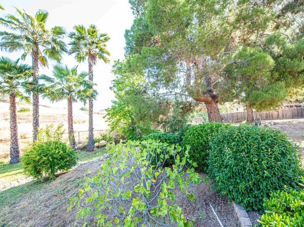 2432 Live Oak Road, Escondido CA 92029