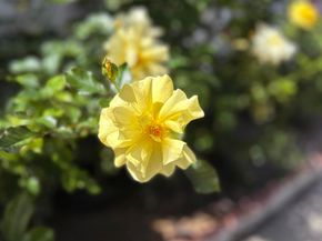 3890 Vista Campana S 78, Oceanside CA 92057