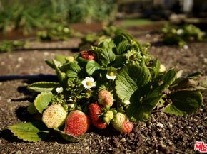 5949 Bonsall Drive, Malibu CA 90265