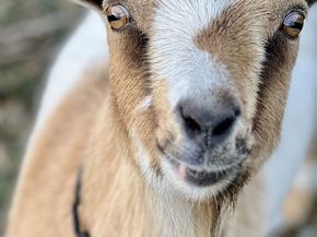 5949 Bonsall Drive, Malibu CA 90265