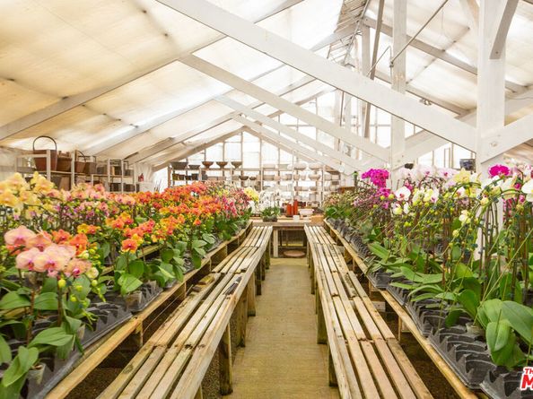 5949 Bonsall Drive, Malibu CA 90265