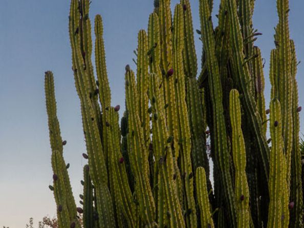 5949 Bonsall Drive, Malibu CA 90265