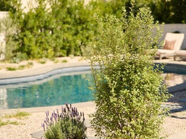 408 N Beachwood Drive, Los Angeles CA 90004