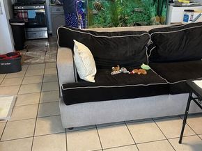 8111 S Main Street, Los Angeles CA 90003