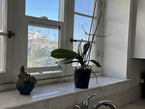 4010 W Adams Boulevard, Los Angeles CA 90018