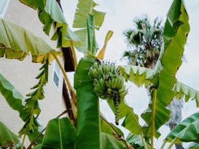 1236 Bolinas Bay Ct, Chula Vista CA 91913