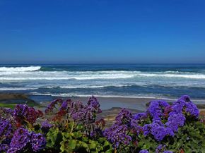 302 Prospect St 6, La Jolla CA 92037