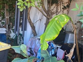 4527 Kickapoo Court, San Diego CA 92117