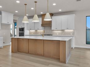 10710 Rattlebox Court, Cypress TX 77433