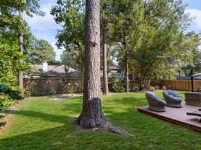 38 Cricket Hollow Place, The Woodlands TX 77381