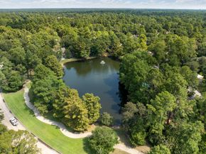 38 Cricket Hollow Place, The Woodlands TX 77381