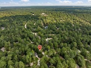 38 Cricket Hollow Place, The Woodlands TX 77381