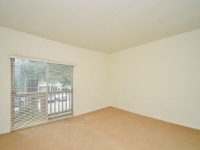 2100 Tanglewilde Street 169, Houston TX 77063
